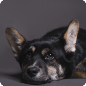 hospital_vs_homecare